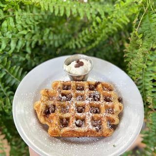 Chocolate Chip Waffle